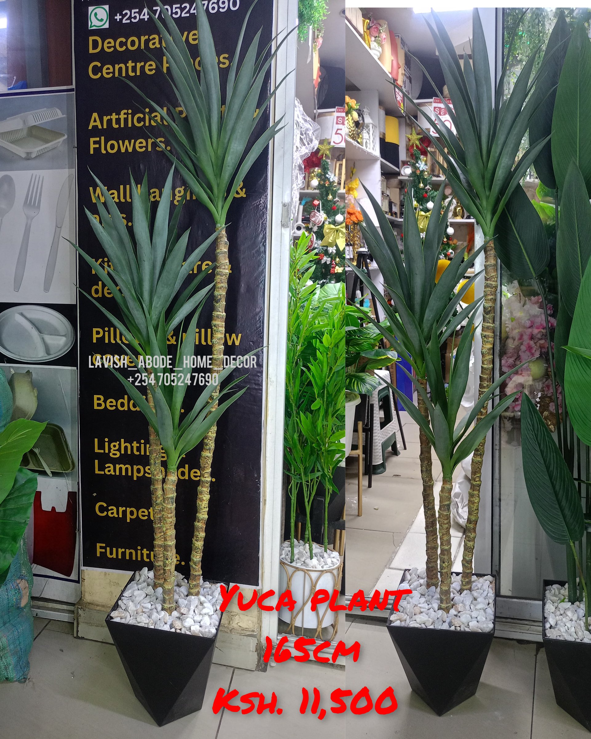 Artificial faux yuca plant -165 cm height indoor and outdoor aesthetic decor