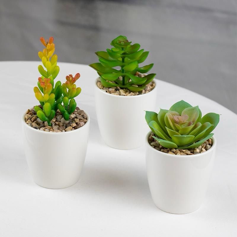 Artificial Succulent Bonsai Plants with Vase Flower Pot - Image 2