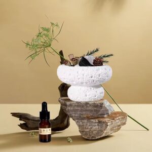 Mushroom Shaped Stone Essential Oil Diffusers Gift Pack
