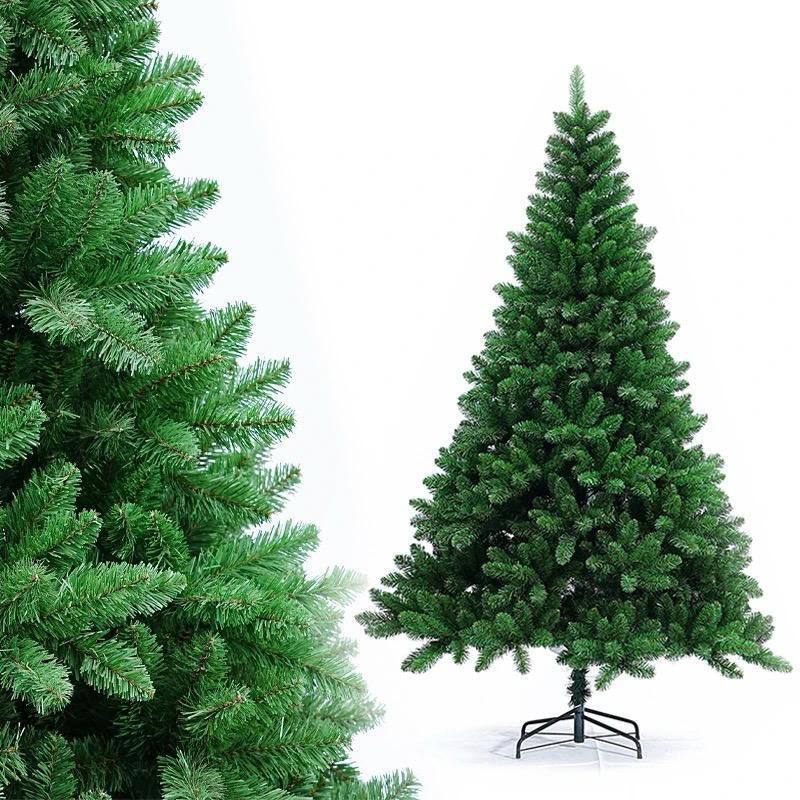 Cypress Christmas Tree X-mas Decoration