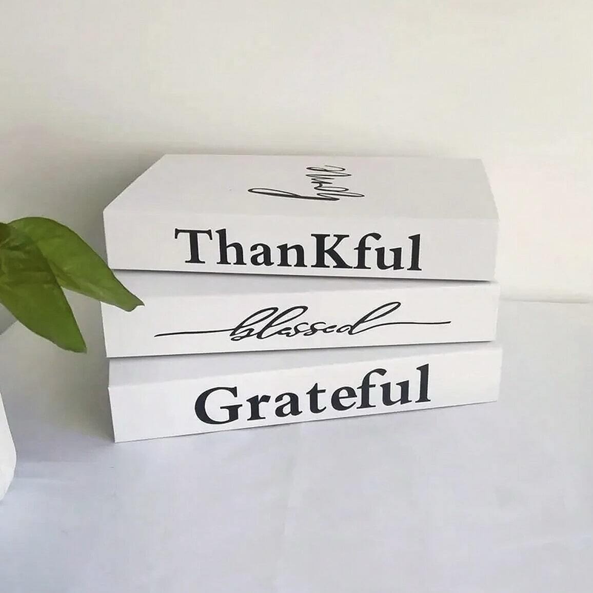 Set of 3 Decorative Books for Home Decor, Faux Books for Decoration, Fake Books Book Decor for Living Room Coffee Table (Blessed, Grateful, Thankful) - Image 2