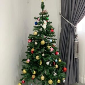 Cypress Christmas Tree 6ft