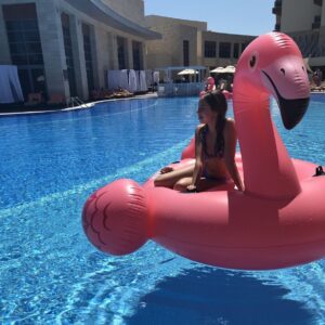 Giant Inflatable Flamingo Float