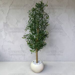 170cm Artificial Olive Tree in Round Planter – Realistic Indoor Decorative Plant | Home Decor Kenya