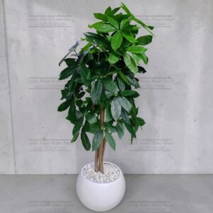 160cm Artificial Mango Tree in Round Planter – Realistic Indoor Decorative Plant | Home Decor Kenya