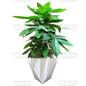 80cm Faux Money Tree Plant – Artificial Indoor & Outdoor Decorative Plant | Home Decor Kenya