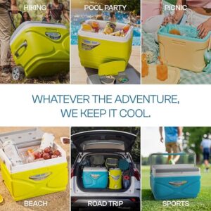 Quality 8L Cooler Box with Carrying Strap – Portable Ice Chest for Drinks & Food Storage | Outdoor & Picnic Cooler Kenya