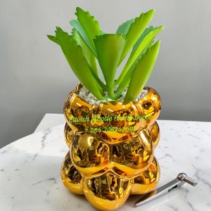 Artificial Succulent Flowers in Bubble Vase – Modern Tabletop Greenery Décor | Home & Office Styling Kenya